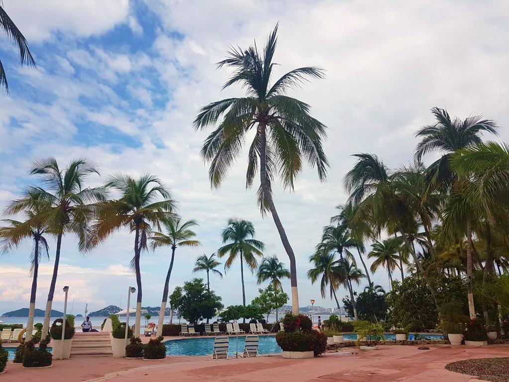 Appartement Penthouse La Palapa *